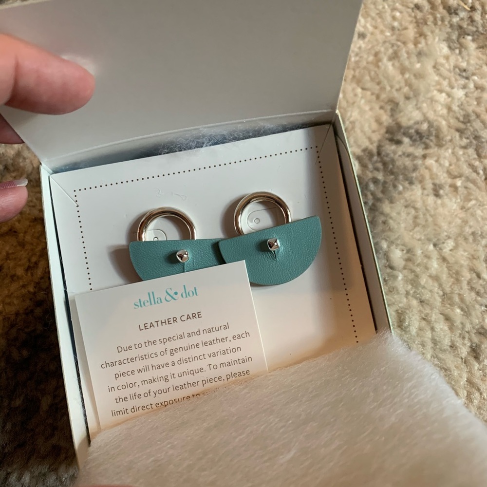 Earrings